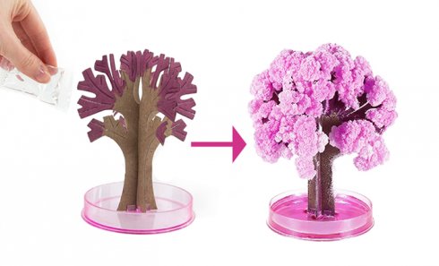 obrázek Kouzelný rostoucí stromek Sakura