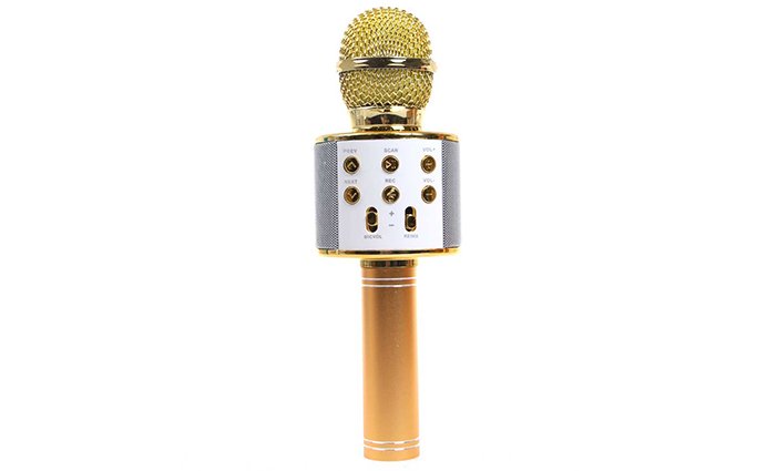 Levně Karaoke mikrofon WS-858 zlatý